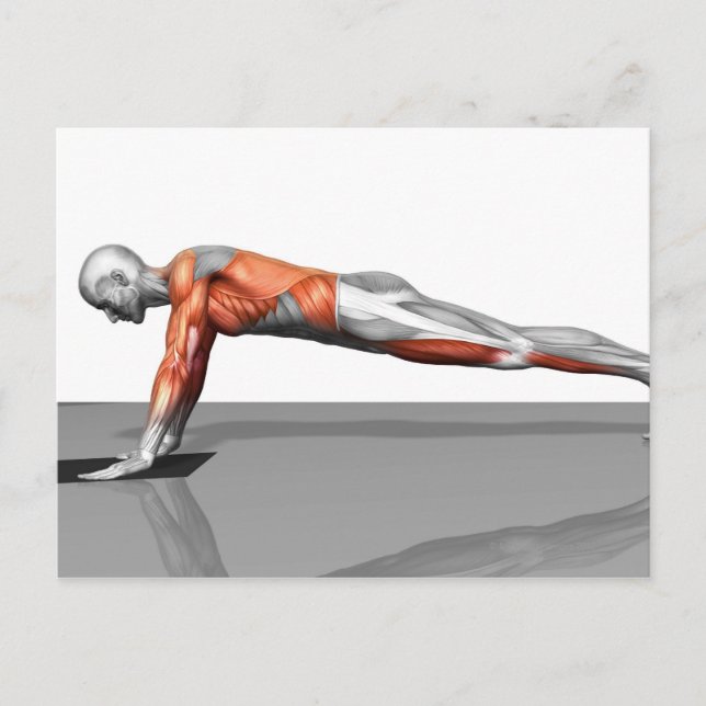 Towel Fly Exercise Postcard (Front)