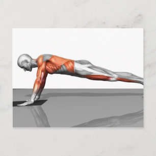 Towel Fly Exercise Postcard