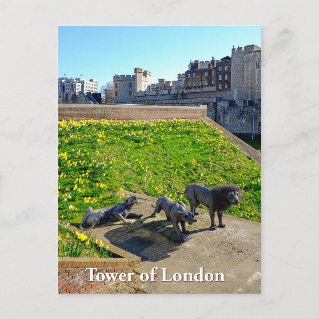 Tower of London, England UK Postcard (Front)