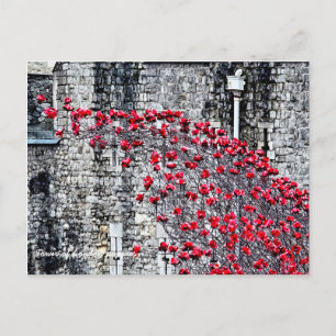 Tower of London Poppies Postcard