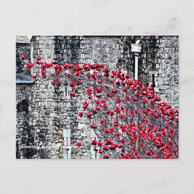 Tower of London Poppies Postcard (Front)