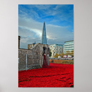 Tower Of London Poppies Red Poppy Poster