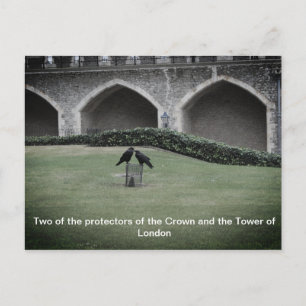 Tower of London Ravens Postcard