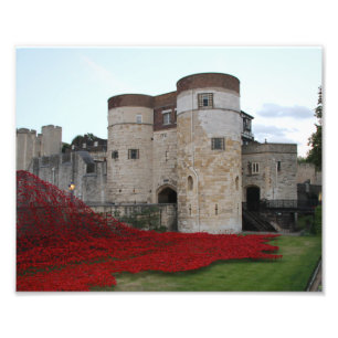 Tower of London with Bright Red Poppies Photo Print