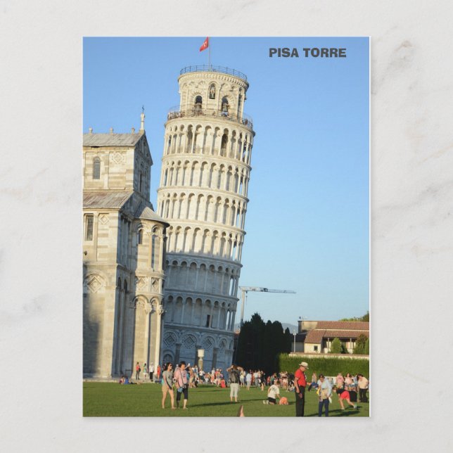 Tower of Pisa Torre Italy Holiday Postcard (Front)
