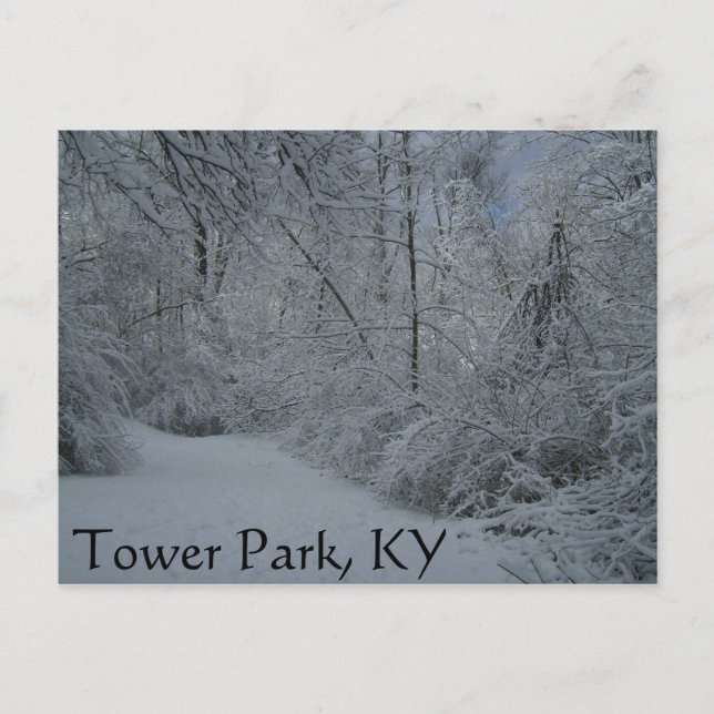 Tower Park, KY Postcard (Front)