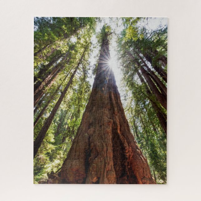Towering Redwoods Jigsaw Puzzle (Vertical)