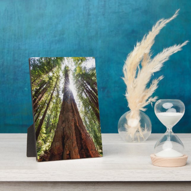 Towering Redwoods Plaque (Side)