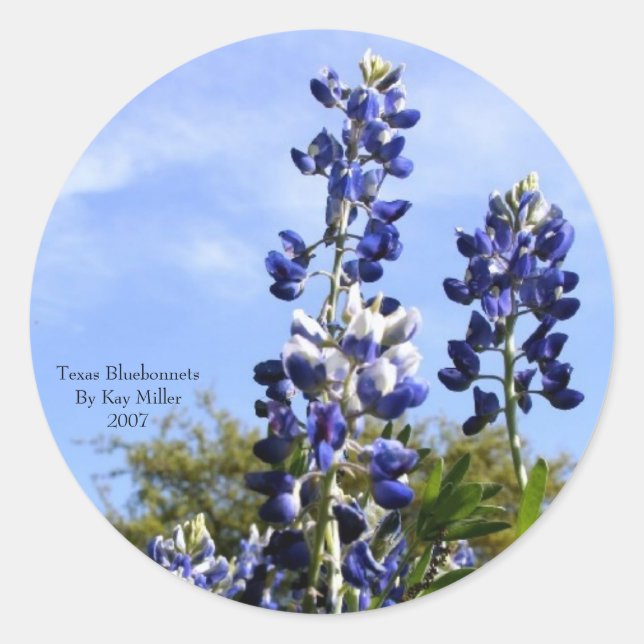 Towering Texas Blue Bonnets Classic Round Sticker (Front)