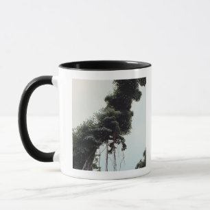Towering tree and vines in jungle mug