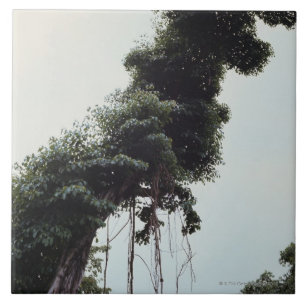 Towering tree and vines in jungle tile