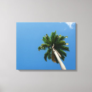 Towering Tropical Palm Tree Against a Bright Sky Canvas Print