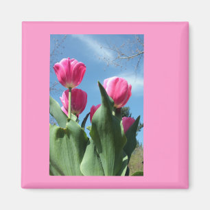 Towering Tulips Magnet