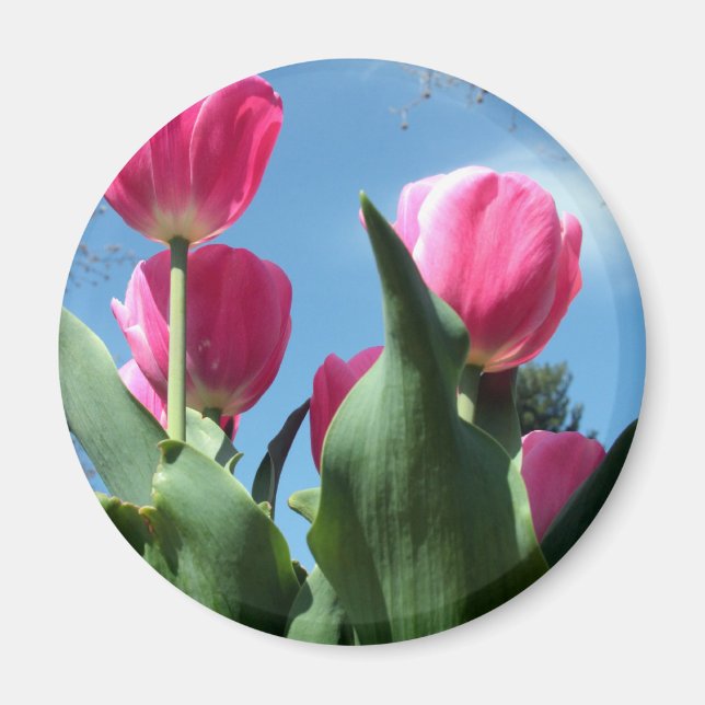 Towering Tulips Magnet (Front)