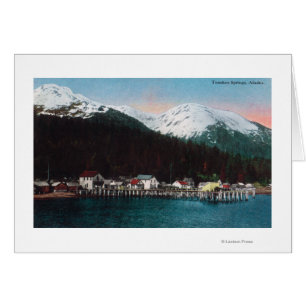 Town View with DocksTenakee Springs, AK