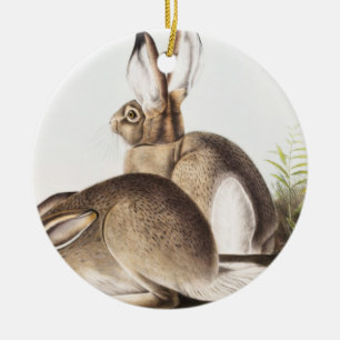 Townsend's Rocky Mountain Hare (Lepus Townsendii) Ceramic Tree Decoration