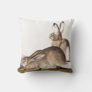 Townsend's Rocky Mountain Hare (Lepus Townsendii) Cushion