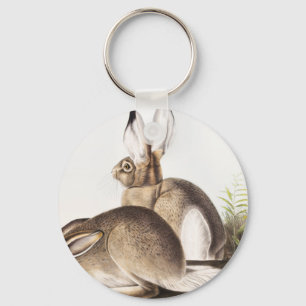 Townsend's Rocky Mountain Hare (Lepus Townsendii) Key Ring