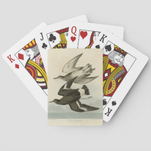 Townsend's Sandpiper - Audubon's Birds of America Playing Cards