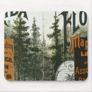 Township Map, Florida Mouse Mat