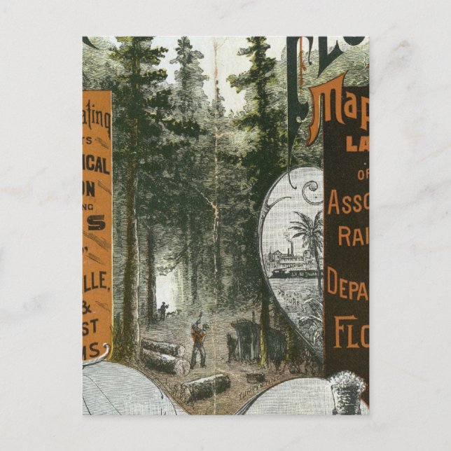 Township Map, Florida Postcard (Front)