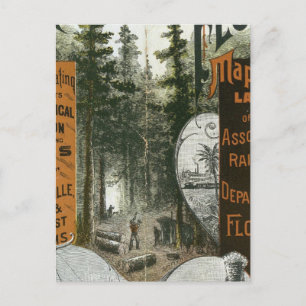 Township Map, Florida Postcard