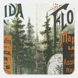 Township Map, Florida Square Sticker