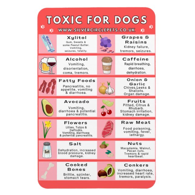 Toxic Foods for Dogs Fridge Magnet (Vertical)