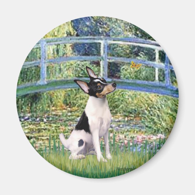 Toy Fox Terrier - Bridge Magnet (Front)