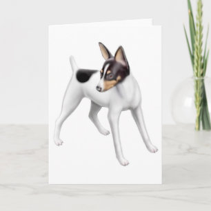 Toy Fox Terrier Greeting Card