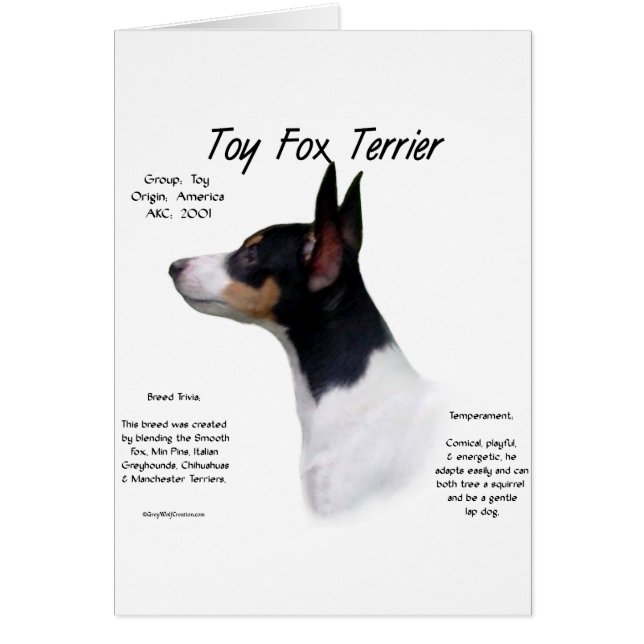 Toy Fox Terrier History Design (Front)