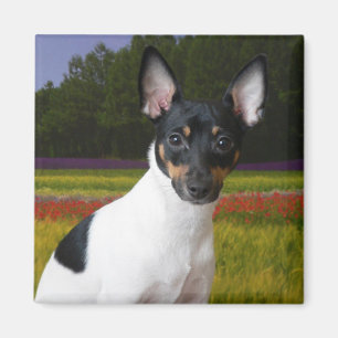 Toy Fox Terrier Magnet