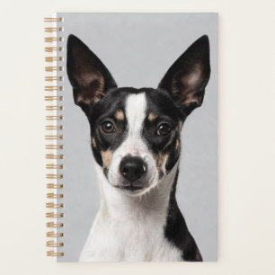 Toy Fox Terrier Planner