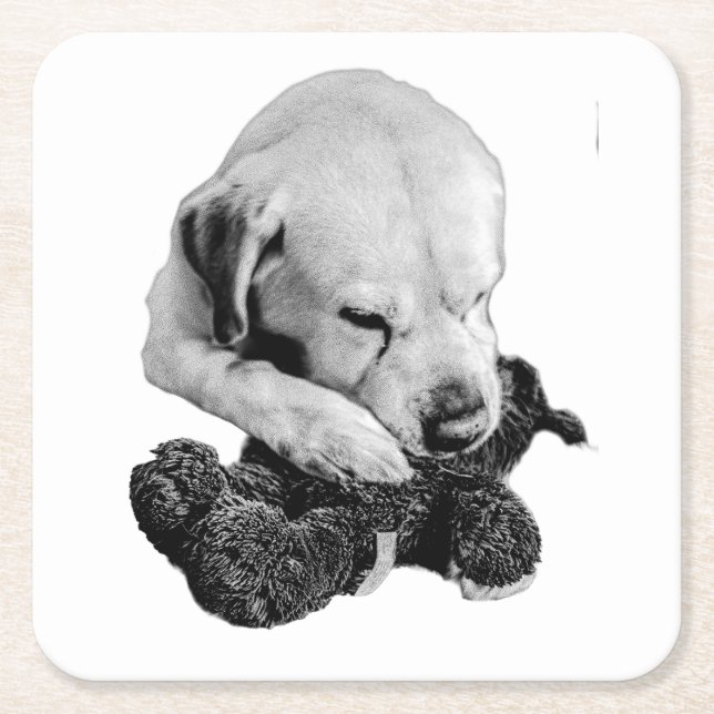 Toy in Paws Square Paper Coaster (Front)