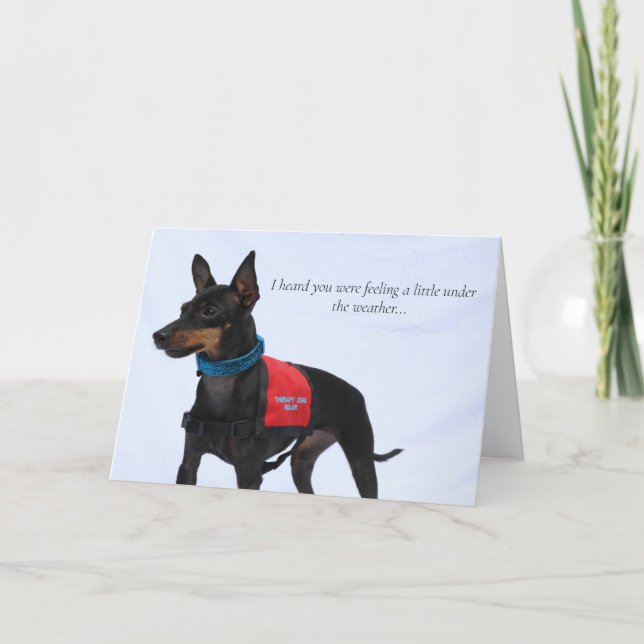 Toy Manchester Terrier Get Well Card (Front)
