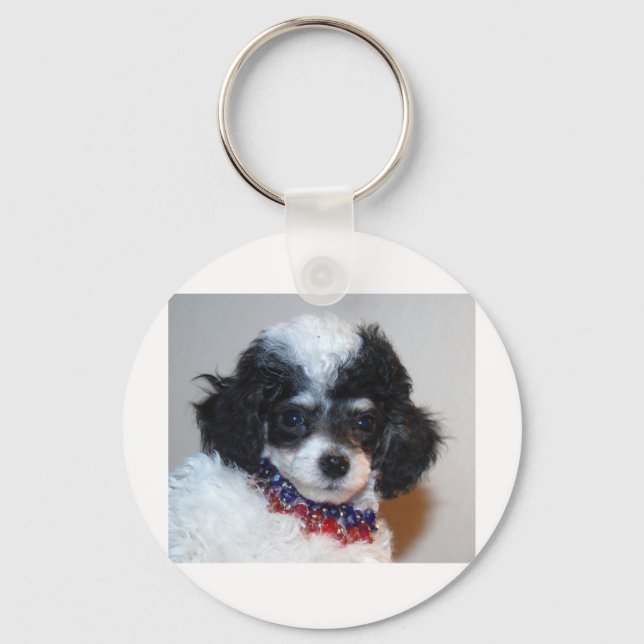 Toy Parti Poodle Puppy face Key Ring (Front)