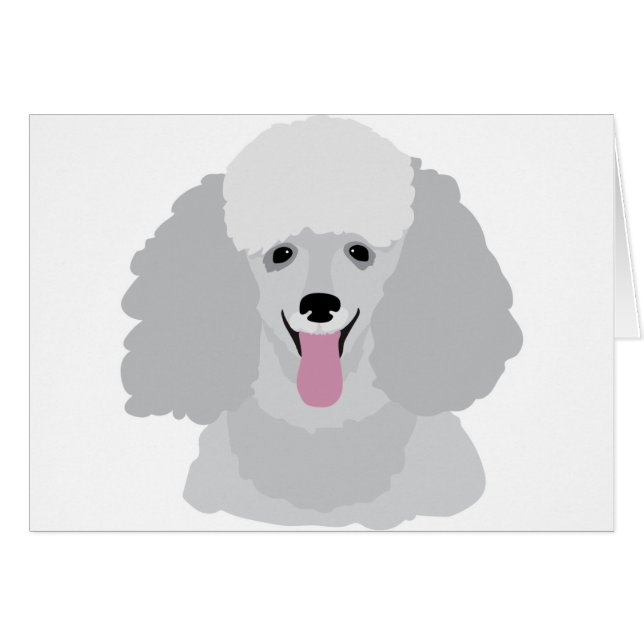 Toy Poodle (Front Horizontal)