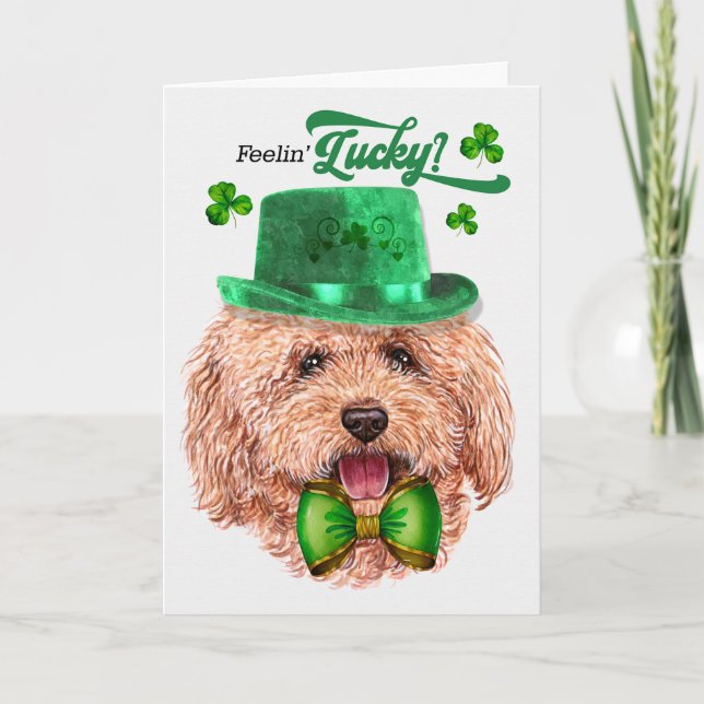 Toy Poodle Dog Feelin' Lucky St Patrick's Day Holiday Card (Front)