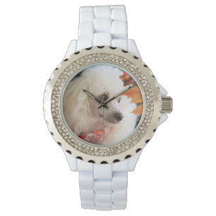Toy poodle dog white Rhinestone Watch