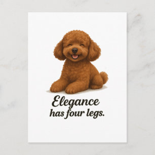 Toy Poodle � Elegance Has Four Legs Postcard
