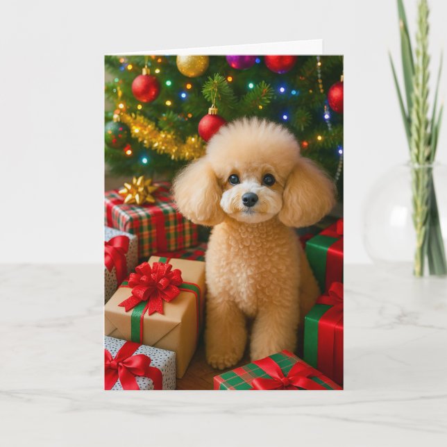 Toy Poodle Holiday Card (Front)