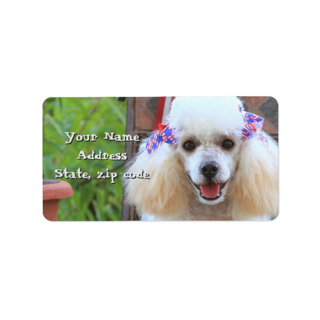 Toy Poodle puppy address labels (Front)