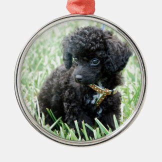 Toy Poodle Puppy Metal Tree Decoration