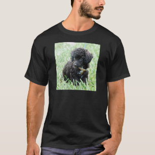 Toy Poodle Puppy T-Shirt