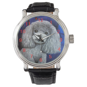 Toy Poodle Watch