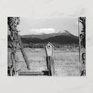 TR Bluebird House Postcard
