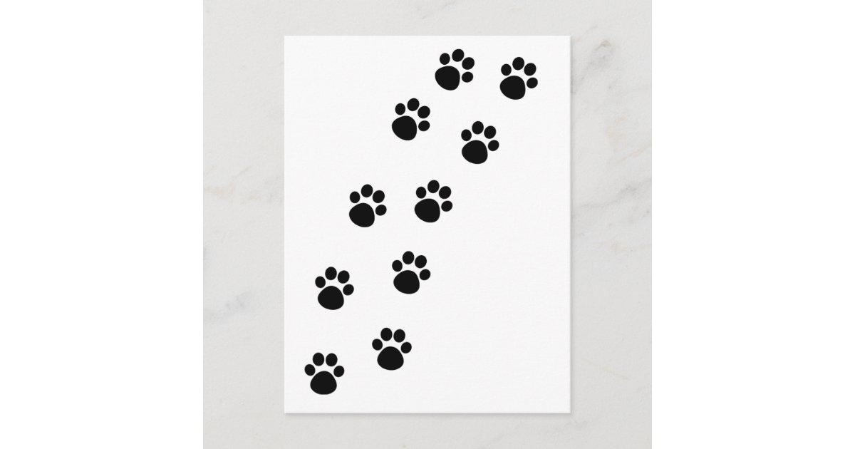 Track of Cat Paw Marks Postcard | Zazzle
