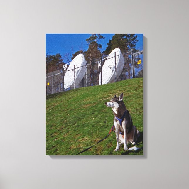 Tracker dog canvas print (Front)