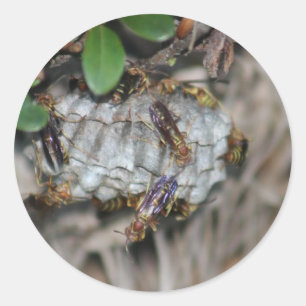 Tracker Jackers #2 Classic Round Sticker