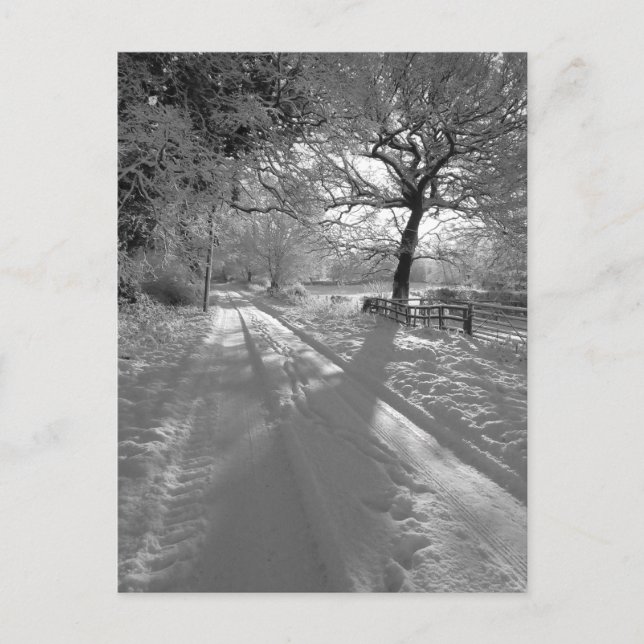 Tracks in the Snow: Cheshire Postcard (Front)